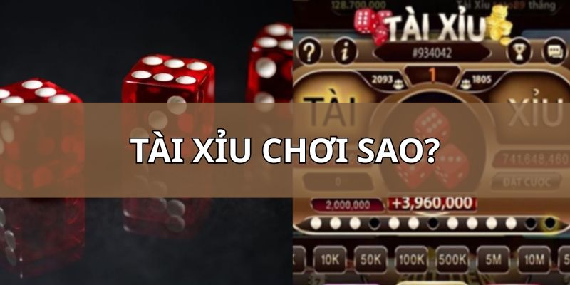 Tài Xỉu chơi sao? Cách đánh chuẩn từ A đến Z cho bạn mới